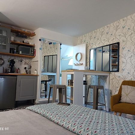 Tres Beau Studio Climatisation, Trois Etoiles, Parking A Velo, Velos En Option, Parking Prive Jardin 몽타르기 외부 사진