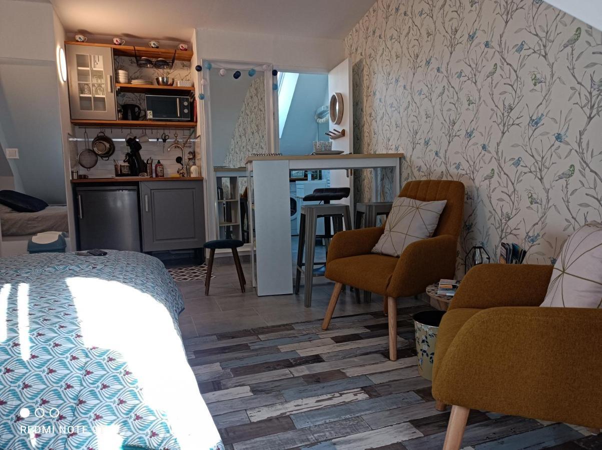 Tres Beau Studio Climatisation, Trois Etoiles, Parking A Velo, Velos En Option, Parking Prive Jardin 몽타르기 외부 사진