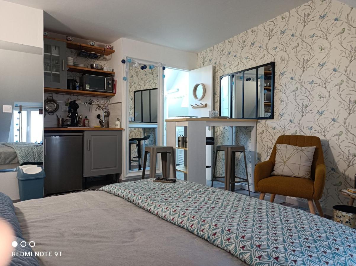 Tres Beau Studio Climatisation, Trois Etoiles, Parking A Velo, Velos En Option, Parking Prive Jardin 몽타르기 외부 사진