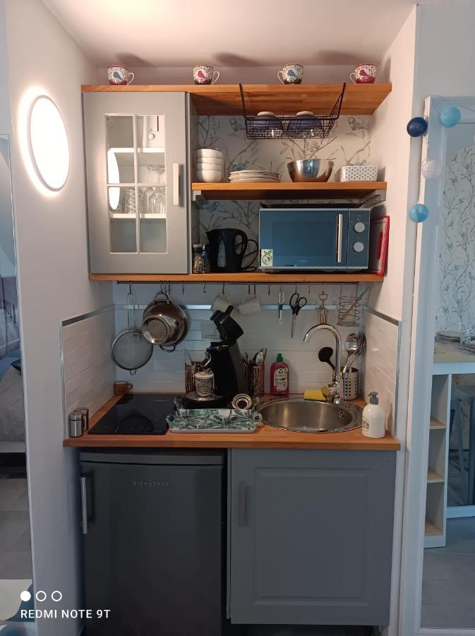 Tres Beau Studio Climatisation, Trois Etoiles, Parking A Velo, Velos En Option, Parking Prive Jardin 몽타르기 외부 사진