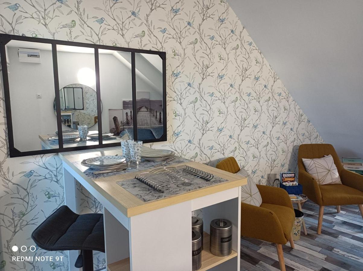 Tres Beau Studio Climatisation, Trois Etoiles, Parking A Velo, Velos En Option, Parking Prive Jardin 몽타르기 외부 사진