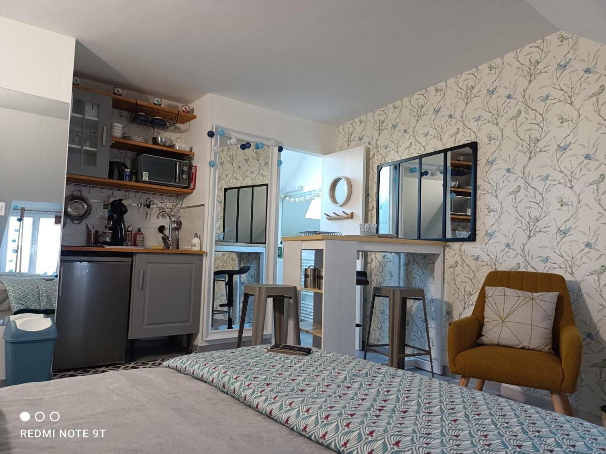 Tres Beau Studio Climatisation, Trois Etoiles, Parking A Velo, Velos En Option, Parking Prive Jardin 몽타르기 외부 사진