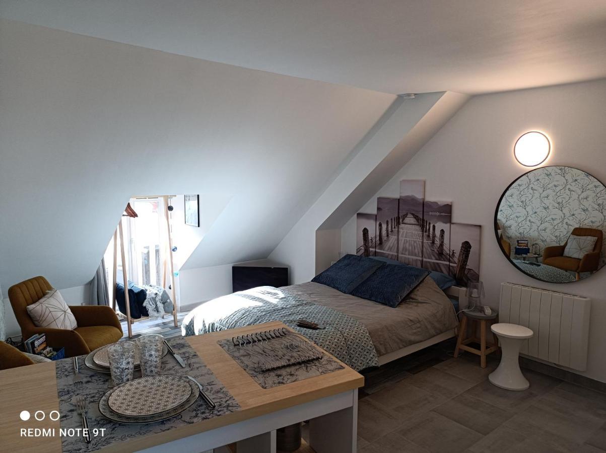 Tres Beau Studio Climatisation, Trois Etoiles, Parking A Velo, Velos En Option, Parking Prive Jardin 몽타르기 외부 사진